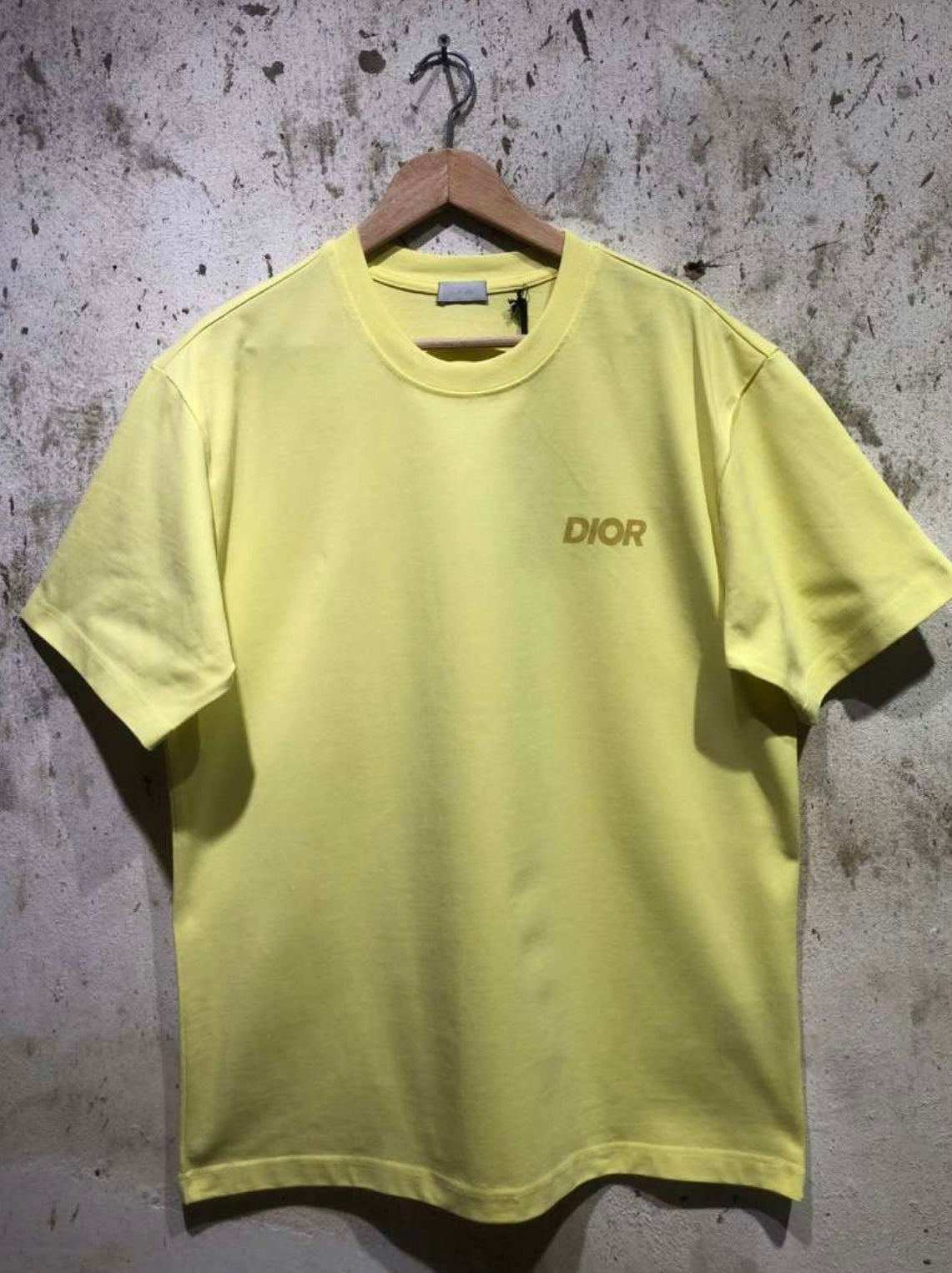 DIOR T-shirt Oversize[ Master Quality]