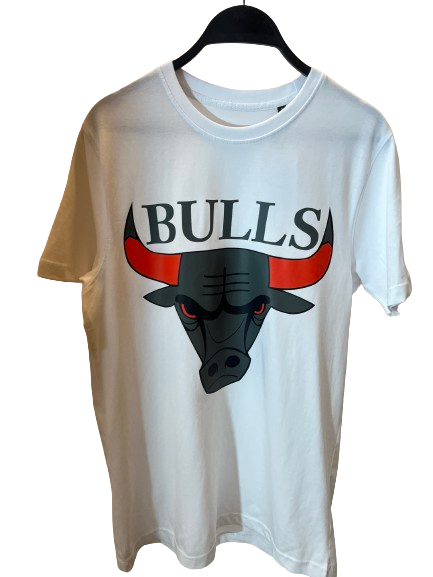 BULLS T-Shirt & Shorts [AAA]