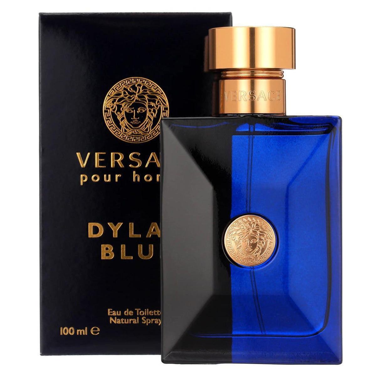 VERSACE DYLAN BLUE POUR HOMME EDT 100ml (Master Quality)